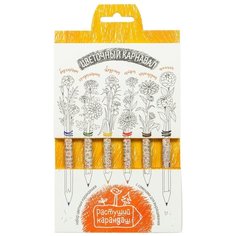 Эйфорд Цветные карандаши Цветочный карнавал 6 цветов (RK-02-06-10)