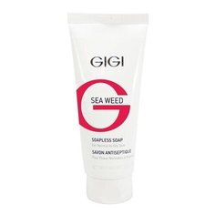 Жидкое мыло для лица не пенящееся GiGi Sea Weed Soapless Soap For Normal To Oily Skin 100 мл