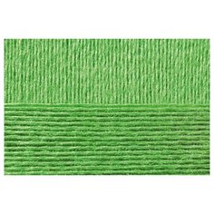 Пряжа Пехорка Гламурная цв.065 экзотика