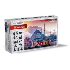 Деревянные фигурные пазлы Citypuzzles Стамбул 100 деталей Нескучные игры