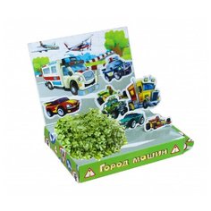 Набор для выращивания Бумбарам "Живая открытка. Город машин" (арт. 321425)