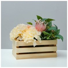 Кашпо деревянное 20*11*9 см, с двойной прорезью Сима ленд
