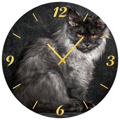 SvS Настенные часы SvS 3002089 Пепельный кот СВС