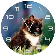 SvS Настенные часы SvS 4001847 Черно-белый котенок СВС