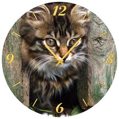SvS Настенные часы SvS 3501841 Котик СВС