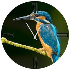 SvS Настенные часы SvS 3503158 СВС