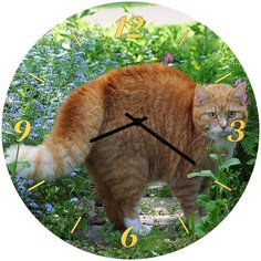 SvS Настенные часы SvS 4002064 Кот в позиции обороны СВС