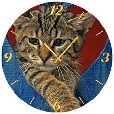 SvS Настенные часы SvS 3501857 Расстроеный кот СВС