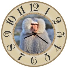 SvS Настенные часы SvS 3502231 Смешной обезьян СВС