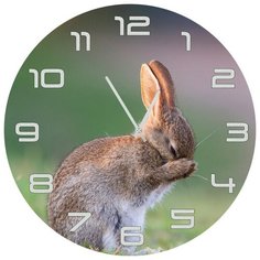 SvS Настенные часы SvS 4002062 Заяц чистюля СВС
