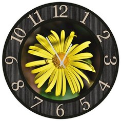 SvS Настенные часы SvS 3502245 Ромашка в черной рамке СВС