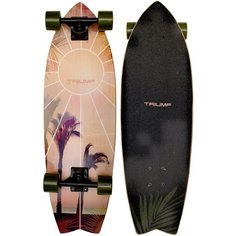 Скейтборд круизер Triumf Active TF-3009 Palmcoast 30*9.35