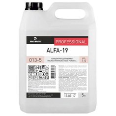 Pro-Brite / Alfa-19 Средство для уборки после строительства и ремонта / концентрат / 5л