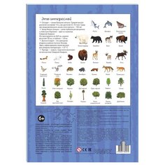 Пазл развивающий Step puzzle 29 деталей: Северная Америка