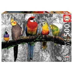 Пазл Educa 500 деталей: Птицы в джунглях