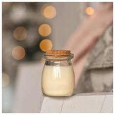 Ароматическая свеча Hygge Ваниль, 100 мл. Candle Story