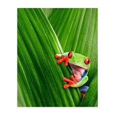 Штора для ванной фотодизайн ST CT1220-20023 с кольцами 180х200 см Santrade