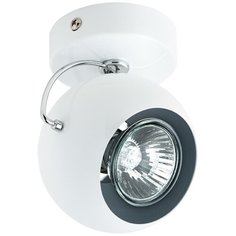 Спот Fabi 110566 Lightstar