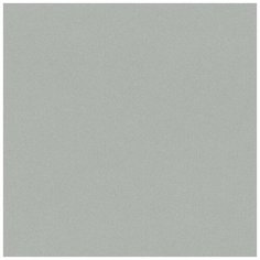 Обои Rasch 607260