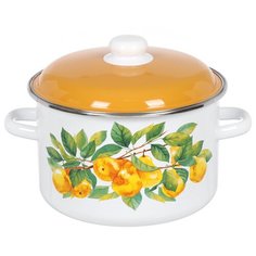 Кастрюля сталь, эмалированное покрытие, 5.5 л, с крышкой, крышка сталь, СтальЭмаль, Грушевый сад, 6RD221M, белоснежная