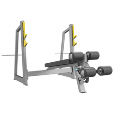 E-3041 Скамья- стойка для жима под углом вниз (Olympic Decline Bench), DHZ