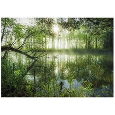 Пазл Schmidt 1000 деталей: Ст. Хефеле Родина джунглей