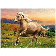 Пазл Trefl 500 деталей: Лошадь на лугу
