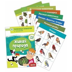 Комплект плакатов Живая природа Дрофа Медиа