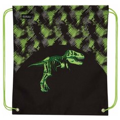 Herlitz Мешок для обуви Dino Skeleton 50026449-2, черный/зеленый