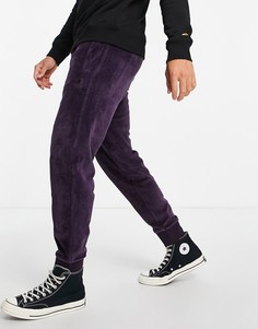 Фиолетовые бархатные джоггеры с надписью (от комплекта) Carhartt WIP-Фиолетовый цвет