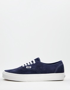 Синие замшевые кроссовки Vans Authentic Pig-Голубой