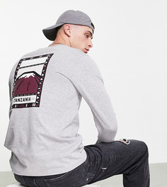 Серый лонгслив The North Face Faces эксклюзивно для ASOS