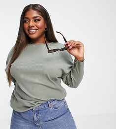 Топ цвета хаки в рубчик с рукавами «летучая мышь» ASOS DESIGN Curve-Зеленый цвет