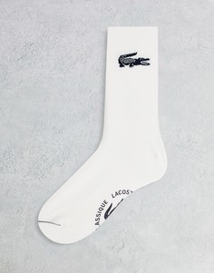 Белые носки с большим логотипом крокодила Lacoste-Белый
