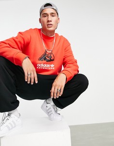 Красный свитшот с принтом полярного медведя adidas Originals Adventure