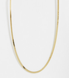 Позолоченное ожерелье-цепочка с плоскими звеньями Orelia-Золотистый