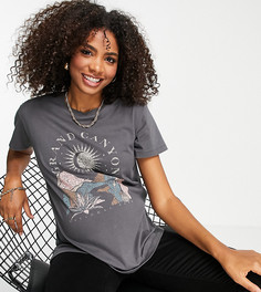 Черная футболка с принтом "Grand Canyon" ASOS DESIGN Maternity-Черный цвет
