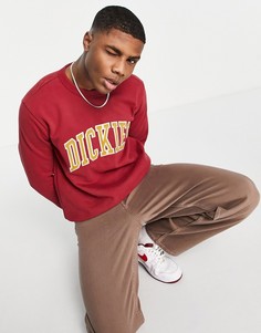 Красный свитшот Dickies Aitkin
