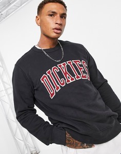 Черный свитшот Dickies Aitkin-Черный цвет