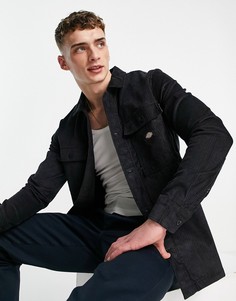 Черная вельветовая рубашка Dickies Higginson-Черный