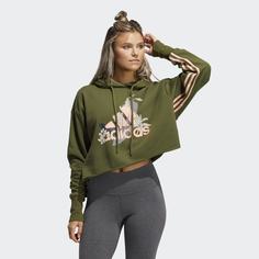 Худи adidas Sportswear