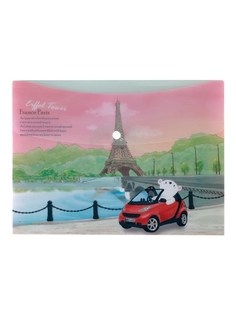 Папка-конверт на кнопке А4 COMIX Little Polo Bear, Франция