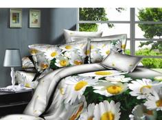 Покрывало Diva Afrodita Premium с вышивкой из сатина; 050-Русское поле; Размер: Евро