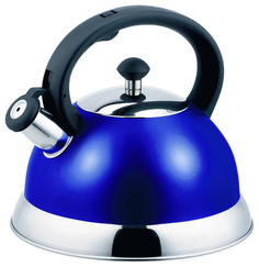 Чайник для плиты TM Appetite HSK-H063 С 2.5 л