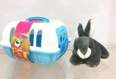 Игровой набор Junfa toys Кролик в переноске