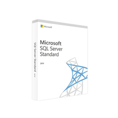 ПО Microsoft SQL Svr Standard Edtn 2019 English DVD 10 Clt (228-11548)