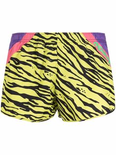 Moschino плавки-шорты с тигровым принтом