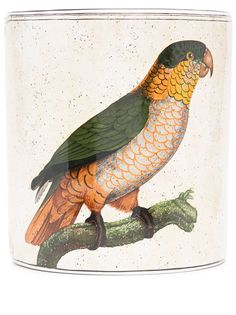 GINORI 1735 маленькая ваза Varieté du Perroquet Maipouri