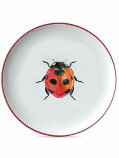 Les-Ottomans тарелка Insetti Collection