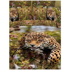 "Постельное белье "Волшебные сны" евро размер , сатин